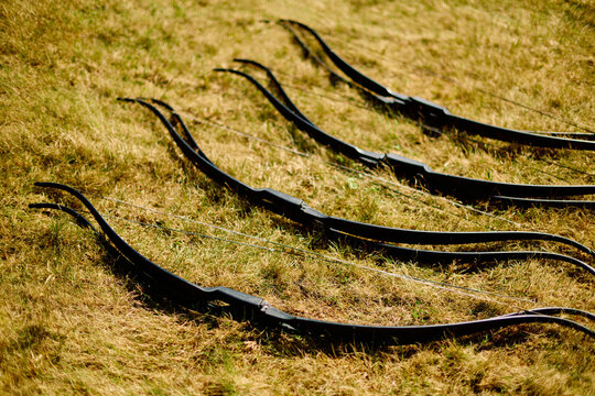 Traditional Recurve Bows Lying on Dry Grass Outdoors