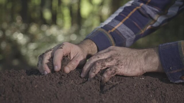 Hands holding soil. Farmers hands full of soil. Hands pouring soil and Hands testing ground. Gardener examining earth and compost. Ground fertility.