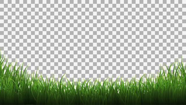 Fresh green grass lawn on a Transparent Background, creating a vibrant spring nature pattern for summer garden and environmental design.