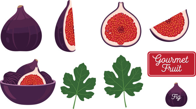 Vector set of figs and fig elements including whole, sliced, halved fruits, leaves, bowl, and gourmet fruit label for culinary and digital design