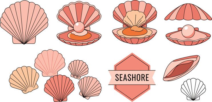 Vector set of seashells and marine elements including scallop shells, open and closed shells, pearls, and seashore emblem for beach and digital design