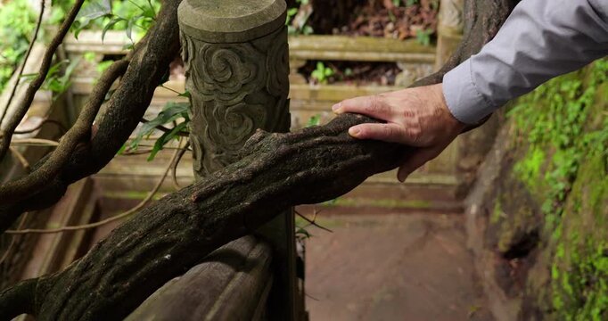 Close-up shot of man placing hand on thick gnarled tree branch for stability while walking up stone stairs at Xishan Forest Park. Immovable wood serves as natural handrail, its deeply textured bark