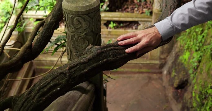 Close-up of male hand stroking texture of gnarled tree branch at Xishan Forest Park, illustrating profound, mindful connection between nature and history. Traveler in moment of contemplation
