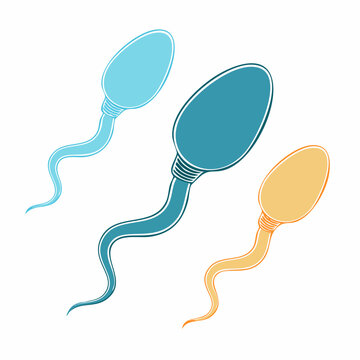 Illustration of three sperm cells