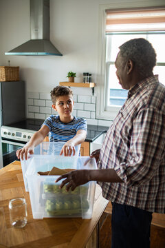 Senior man and boy sorting recycling in home kitchen