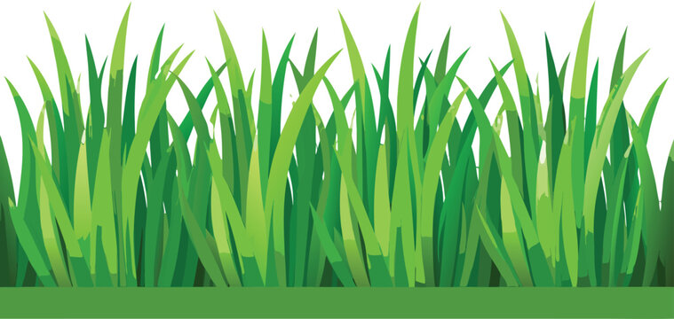 Realistic Green Grass Border Vector Set Isolated on Transparent Background