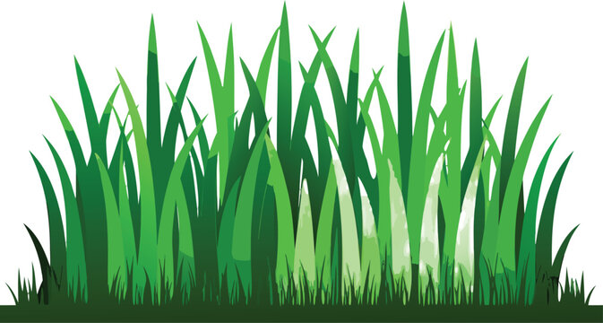 Realistic Green Grass Border Vector Set Isolated on Transparent Background