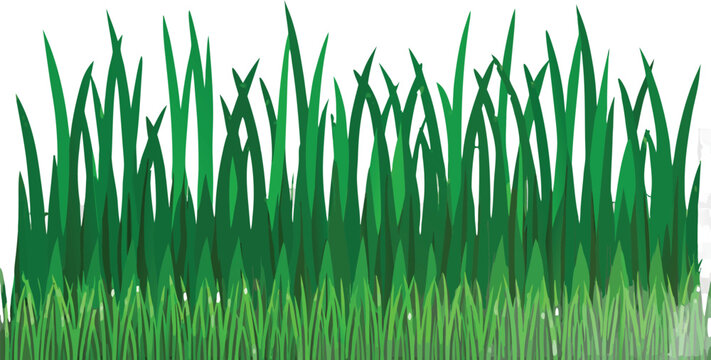 Realistic Green Grass Border Vector Set Isolated on Transparent Background