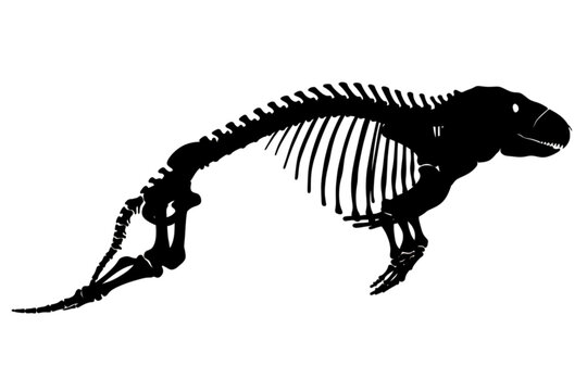 Fossilized Skeleton Silhouette: A stark black silhouette depicts the complete skeletal structure of an ancient creature, highlighting its intricate bone formation and prehistoric lineage.