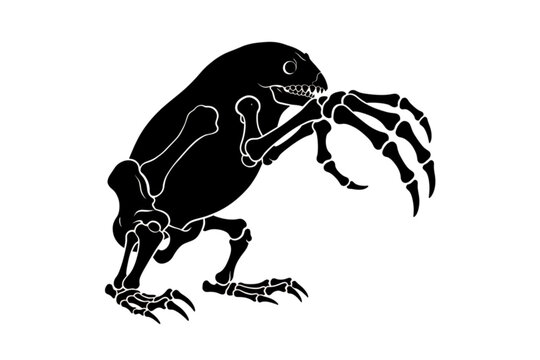 Bones of a Cryptid: A striking black silhouette of a fantastical creature, its form outlined by skeletal details, stands on two legs with clawed feet and long, skeletal hands.