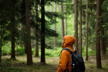 Fototapeta premium Man hiking in the Forest. Travel, tourism, adventure and healthy active lifestyle in nature
