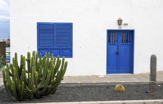 Cacti in front of a typical white house with blue door and blue shutters, Arrieta, Lanzarote, Canary Islands, Spain
