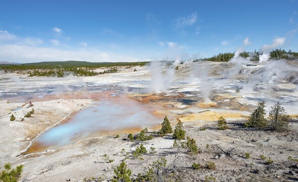Hot springs, colourful mineral deposits in Porcelain Basin, Noris Geyser Basin, Yellowstone National Park, Wyoming, USA