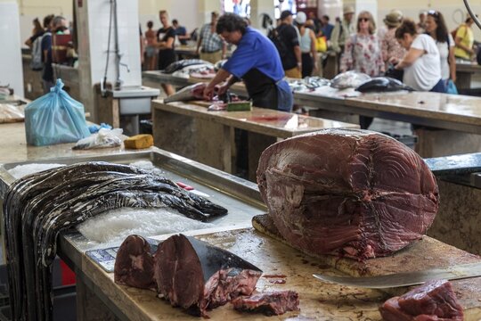 Tuna and black scabbardfish (Aphanopus carbo), fish market, Mercado dos Lavradores market hall, Funchal, Madeira Island, Portugal