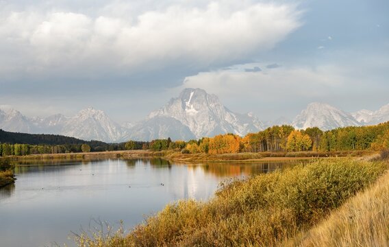 Mount Moran reflected in Snake River, morning mood at Oxbow Bend, autumn trees and Grand Teton Range, Grand Teton National Park, Wyoming, USA