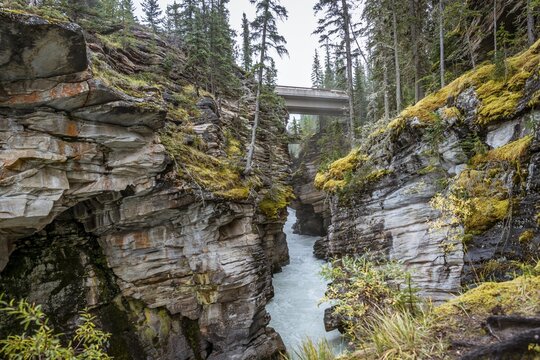 Turquoise water flows through a gorge, Athabasca Gorge, Athabasca River, Jasper National Park, back mountains, evening mood, Alberta, Canada