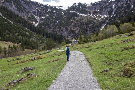 Hiking trail through green meadows, behind Hintere Gemstel-H&uuml;tte, Gemsteltal, Mittelberg, Kleinwalsertal, Vorarlberg, Allg&auml;u Alps, Austria