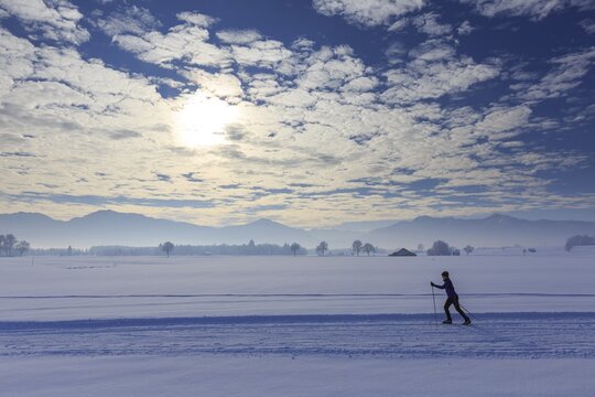 Cross-country skier, woman, adult, on cross-country trail in front of mountains, snow, winter, T&ouml;lzer Land, Alpine foothills, Upper Bavaria, Bavaria, Germany