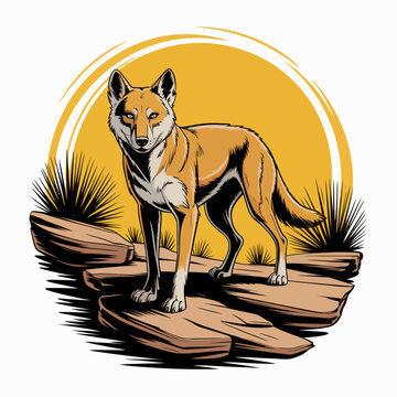 Detailed illustration of a dingo standing.