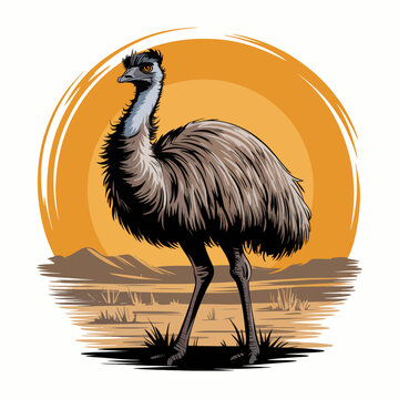 Large Emu Bird Standing Alone Profile.
