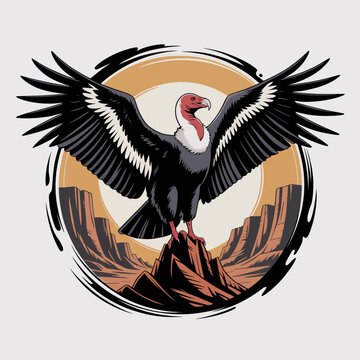 Black Vulture Spread Wings Soaring High.