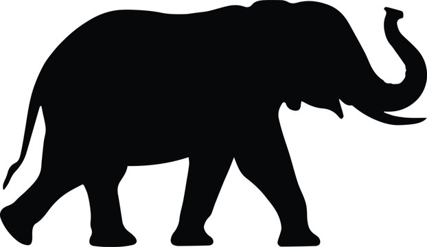 elephant silhouette mammal walking tusk side view wildlife black art