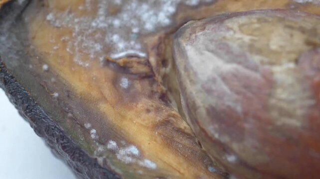 Macro Close Up of White Mold Spots Spreading on Cut Rotten Avocado Half &mdash; Fungal Spoilage Texture, Overripe Perishable Fruit Decay, and Organic Food Waste Decomposition Loop