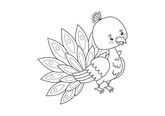Colorful peacock, bird illustration, line art, coloring book © M Yusril Hadi