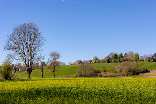 Spring rural countryside landscape, Yellow rapeseed field with green grass and trees under blue clear sky, Canola field with small town villages on the hillside, Dalhem and Berneau, Wallonia, Belgium.