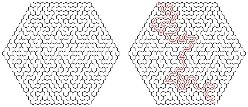 Hexagonal Maze Puzzle with Solution Path Illustration