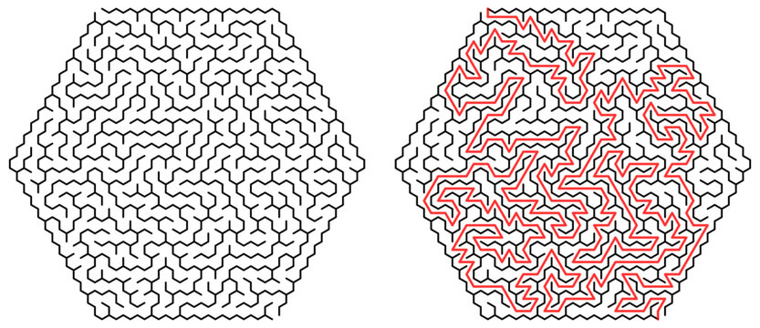 Detailed Hexagonal Maze Puzzle with Solution Path