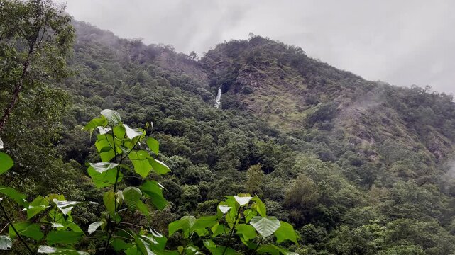 Powerful mountain creek running down through the foggy rainforest jungle in Makalu Barun National Park. Mera Peak climbing route in the Himalayas, Nepal. Scenic nature landscape