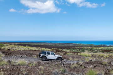 Fototapeta premium 3,000-5,000 yr Lava flows (Alkalic basalt, Hualalai Volcanics). Makalawena Trail Head, Kailua-Kona. Hawaiʻi Belt Road. Cenchrus setaceus, crimson fountaingrass.