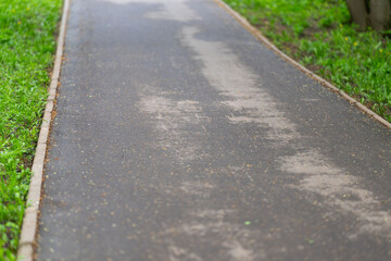 Peaceful suburban walk with textured features. Calm asphalt trail bordered by greenery and gentle light. Tranquil city park pathway showing surface wear and lush grass borders © beholdereye