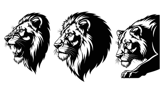 Three Black and White Lion Heads.
