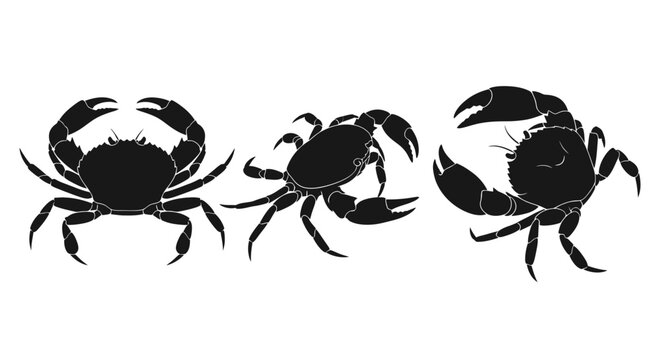 Three black crabs side by side 1.