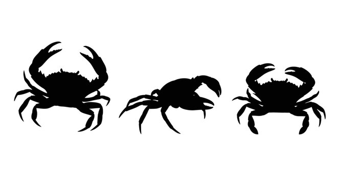 Three black crabs side by side.