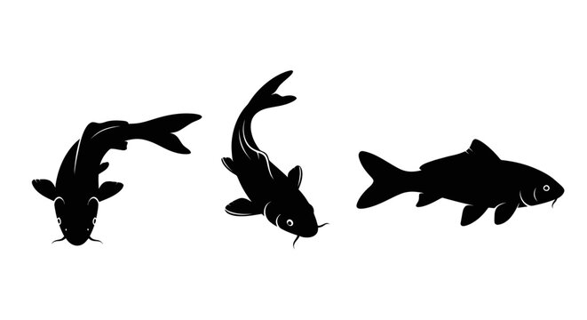 Three black fish swimming together 2.
