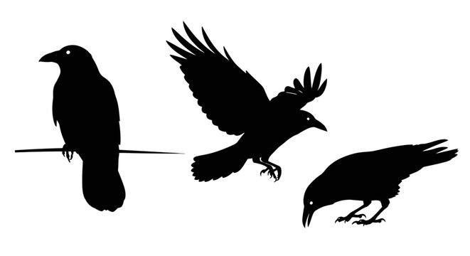 Three black silhouettes of flying birds.