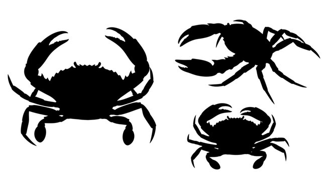Three Crabs Silhouette Sideways Facing.