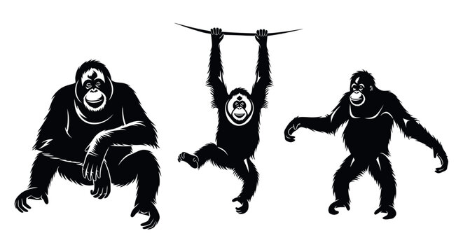 Three gorillas in different poses black.