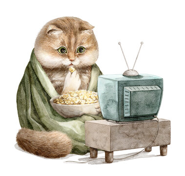 Watercolor cute red funny cat in green blanket watching TV and eating popcorn from bowl isolated on white background. Hand drawn illustration sketch