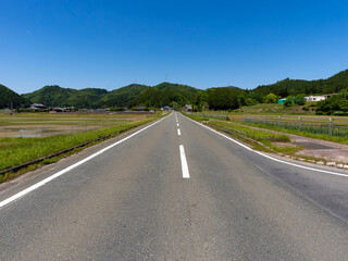 Fototapeta premium 田園地帯を通る道路の風景