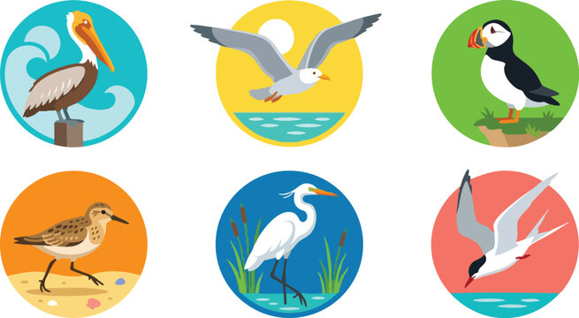 Colorful vector art of coastal bird species in circular frames