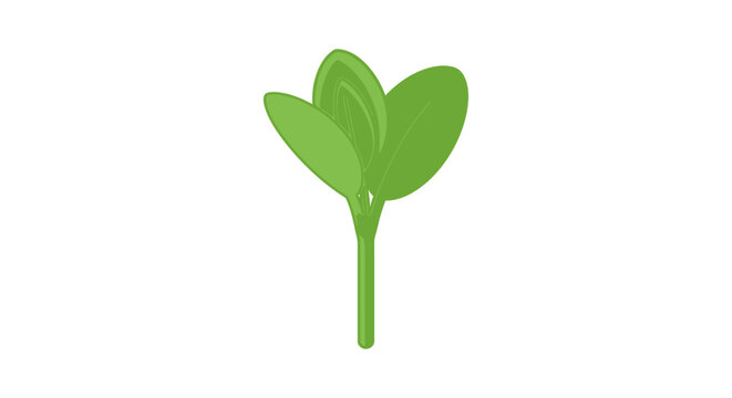 Green leaf shaped kitchen utensil tool.