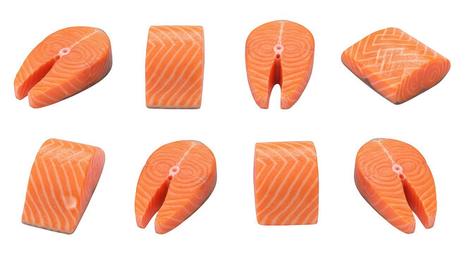 fresh salmon cuts arranged on a white background culinary and seafood themed visuals