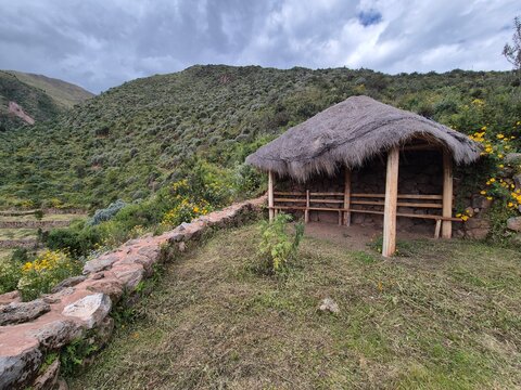 Hut with grass roof for wood storage in front of a large hill with cloudy skies