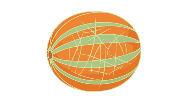 Fresh Whole Cantaloupe Melon with Orange Skin and Green Stripes Illustration Isolated on White