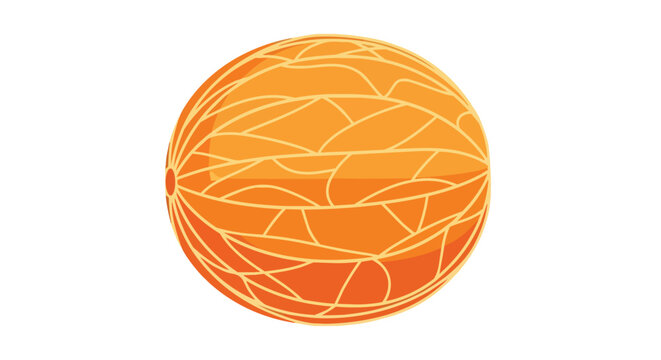 Fresh Whole Cantaloupe Melon Illustration with Netted Texture Isolated on White Background