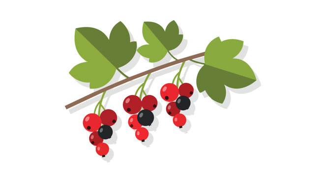 Ripe red and black currant berries hanging on a branch with green leaves, fresh summer fruit concept illustration